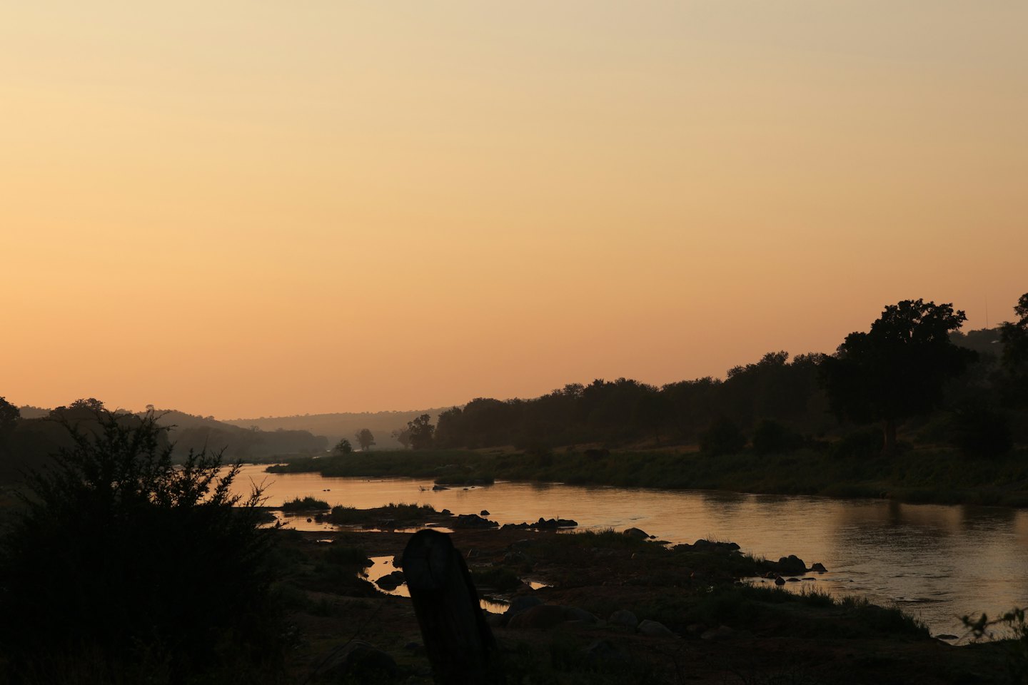 A winding river flows past silhouetted trees during a golden sunset.
